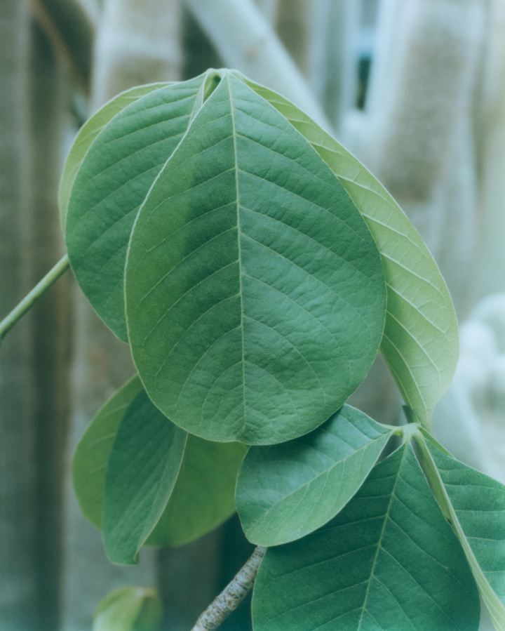 hero gallery image 34