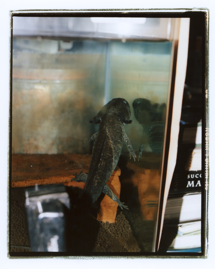 hero gallery image 35