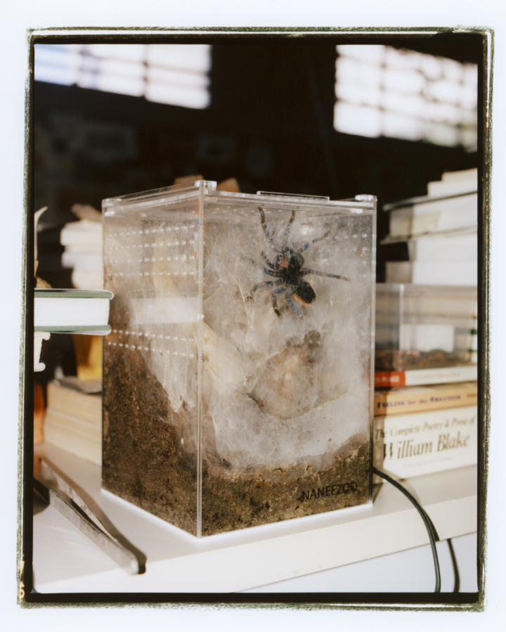 hero gallery image 36