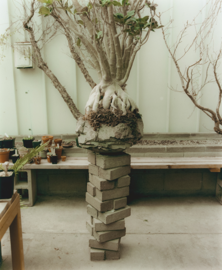 hero gallery image 37