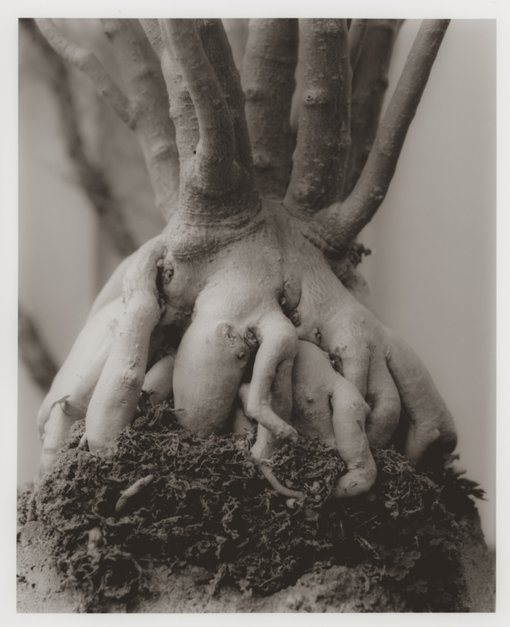 hero gallery image 38