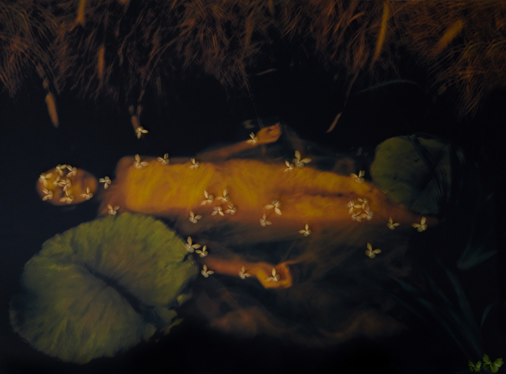 hero gallery image 9