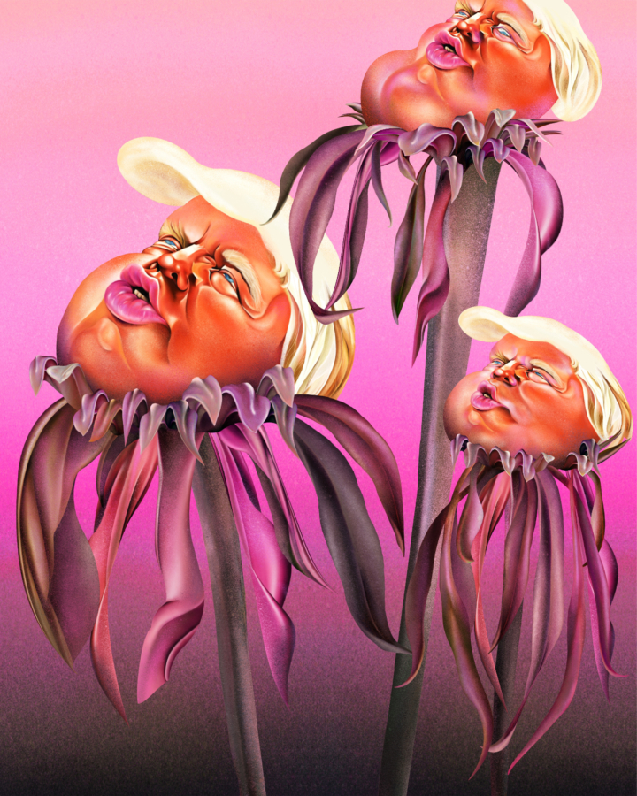 An illustration of Donald Trump's face growing out of three flowers.