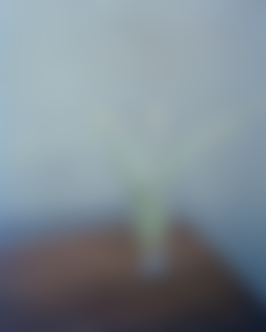 A glass filled with water and flowers.