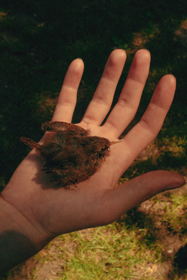 hero gallery image 4