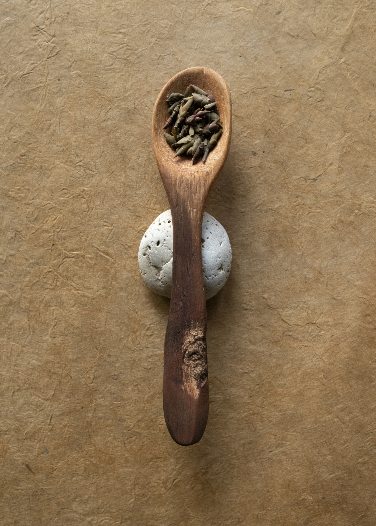 A wooden spoon with rice in it balances on a small white rock.
