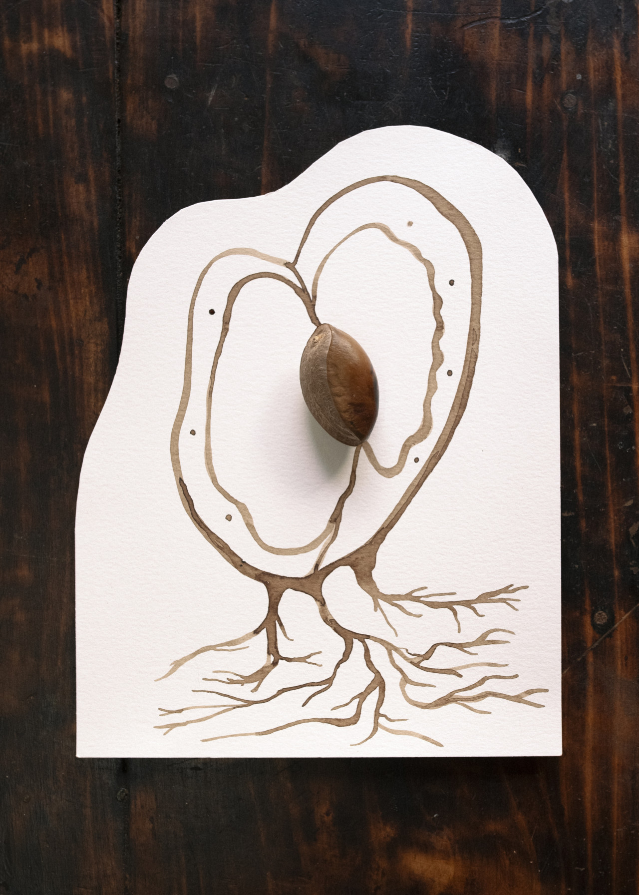 An acorn sits atop an illustration of a root.