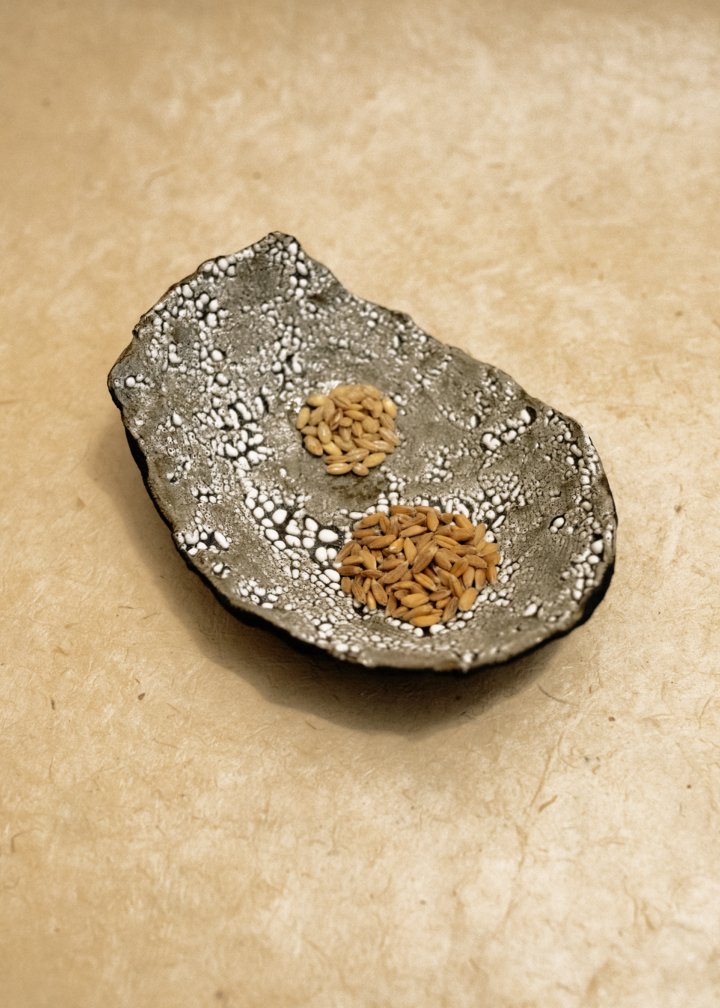 hero gallery image 13