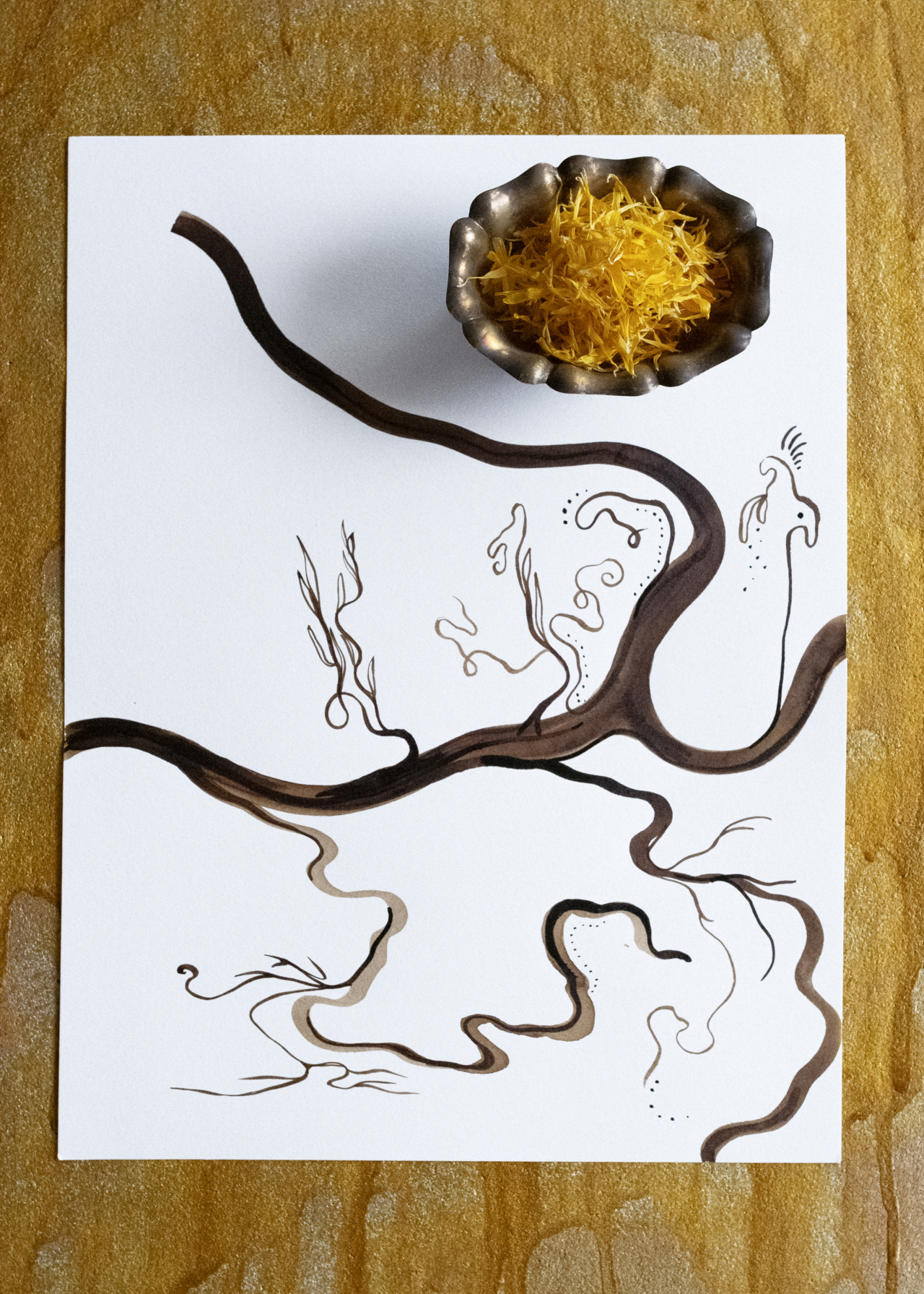 An illustration of plant roots.