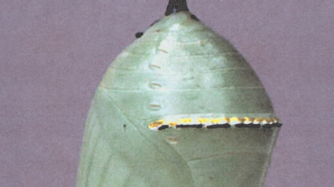 De wet van vergankelijkheid | Sfeer