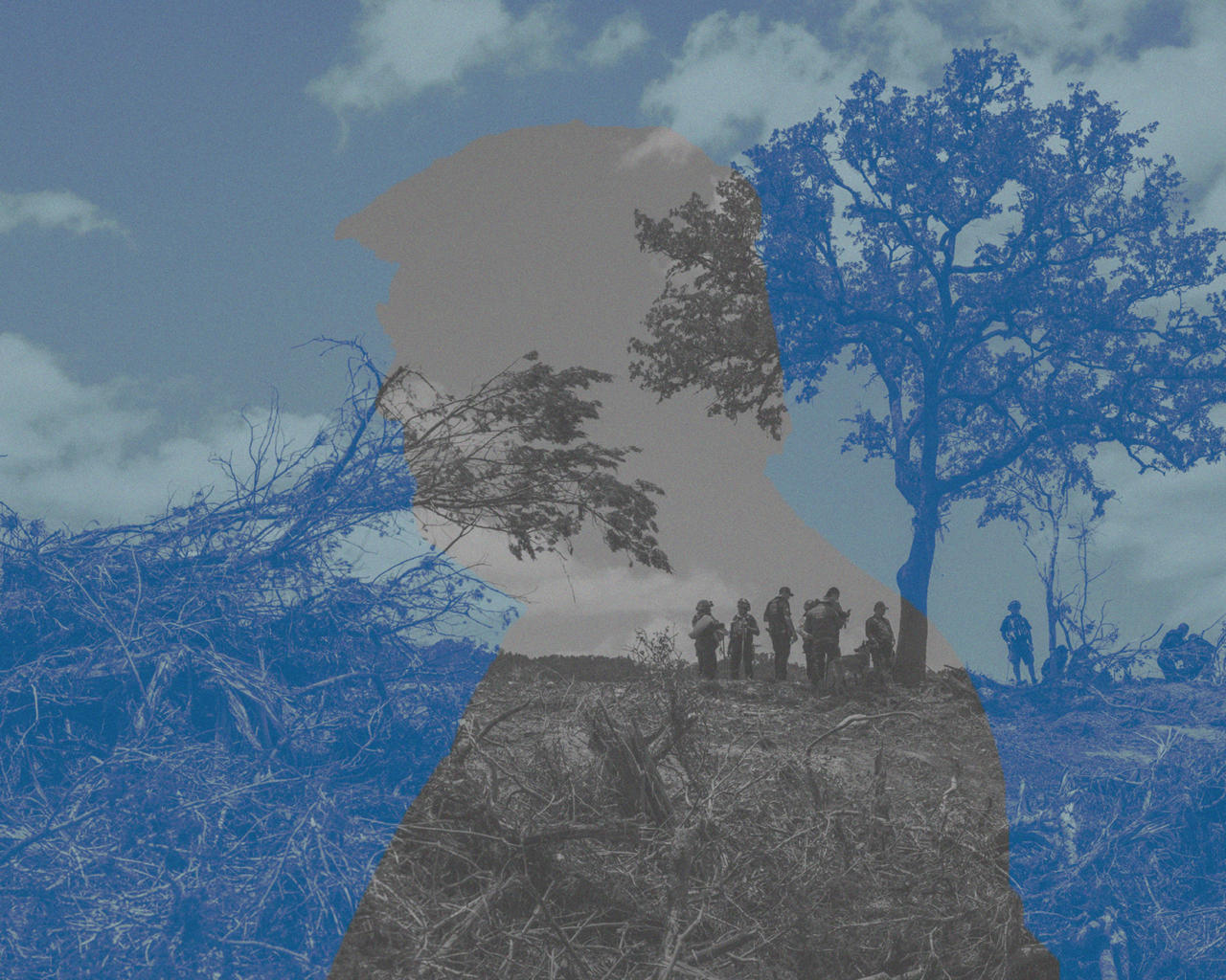 An illustration of Donald Trump's peripheral outline in front a landscape shot.