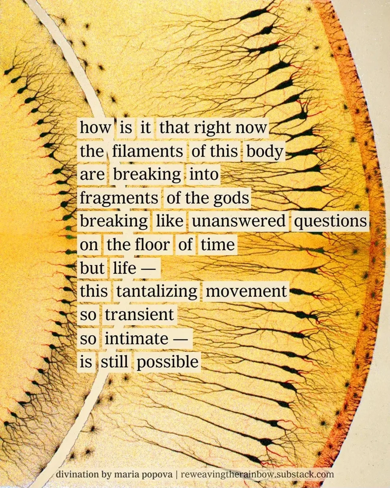Collage of vintage particles and assembled words to create a poem from newspaper clippings. Poem reads: how is it that right now // the filaments of this body // are breaking into // fragments of the gods // breaking like unanswered questions // on the floor of time // but life— // this tantalizing movement // so transient // so intimate— // is still possible
