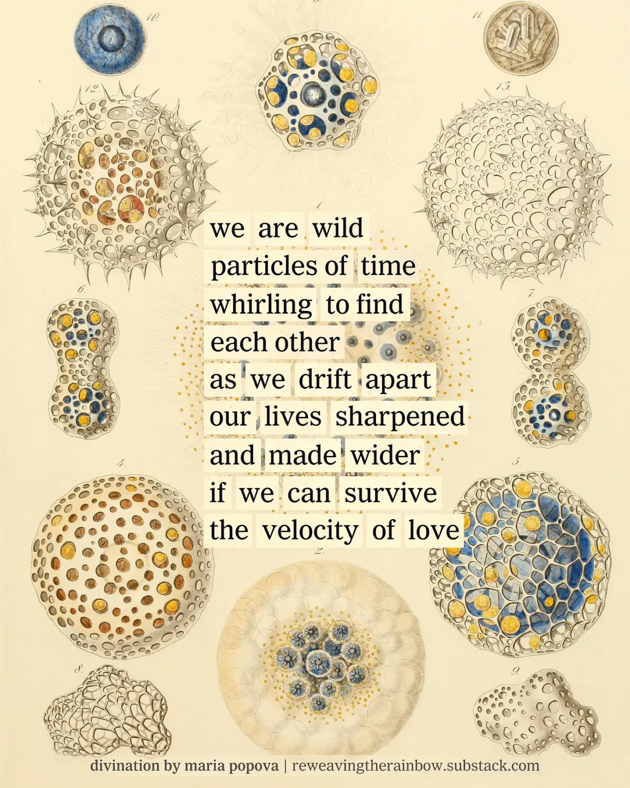 Collage of vintage particles and assembled words to create a poem from newspaper clippings. Poem reads: we are wild // particles of time // whirling to find // each other // as we drift apart // our lives sharpened // and made wider // if we can survive the velocity of love