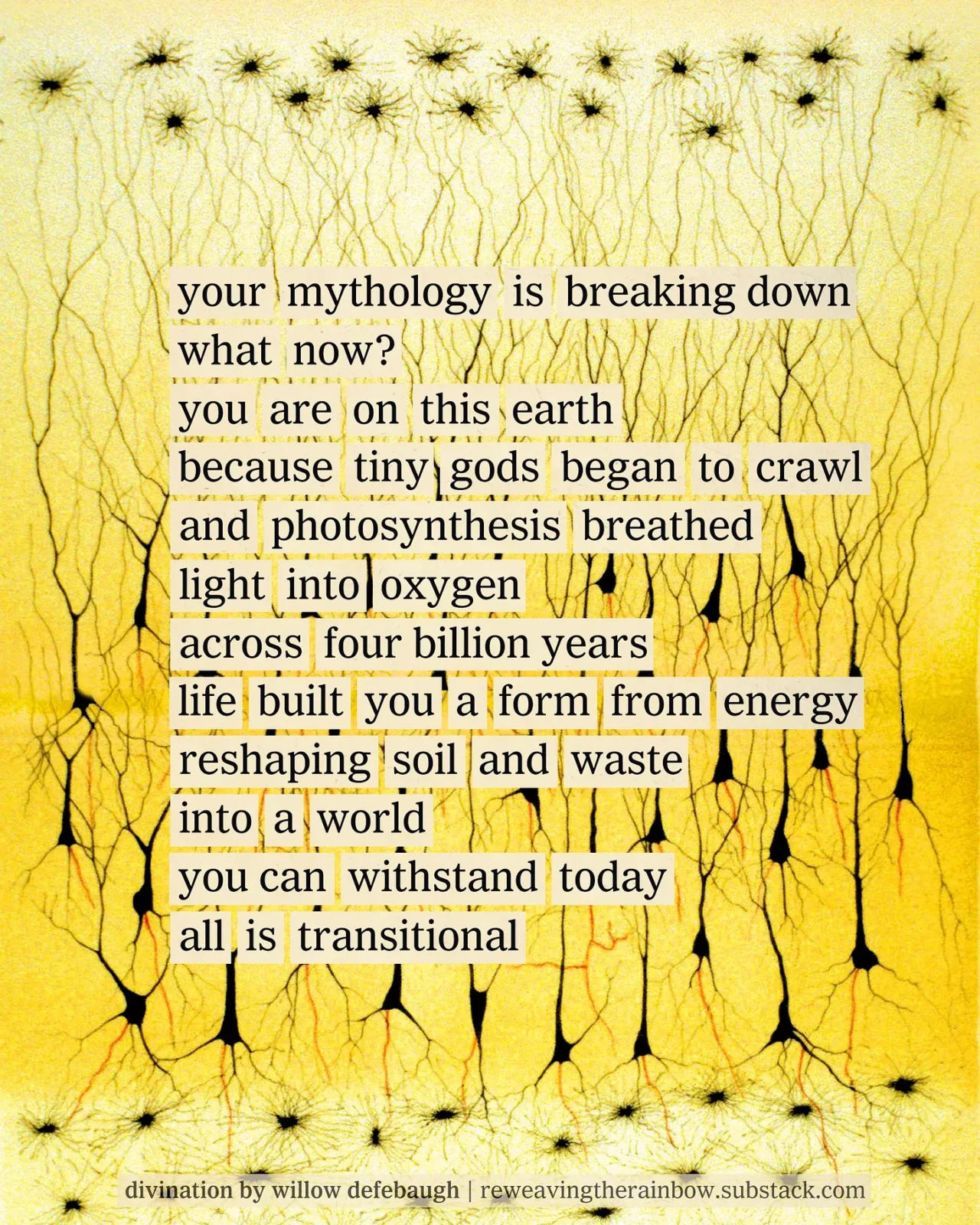 Collage of vintage particles and assembled words to create a poem from newspaper clippings. Poem reads: your mythology is breaking down // what now? // you are on this earth // because tiny gods began to crawl // and photosynthesis breathed // light into oxygen // across four billion years // life built you a orm from energy // reshaping soil and waste // into a world // you can withstand today // all is transitional
