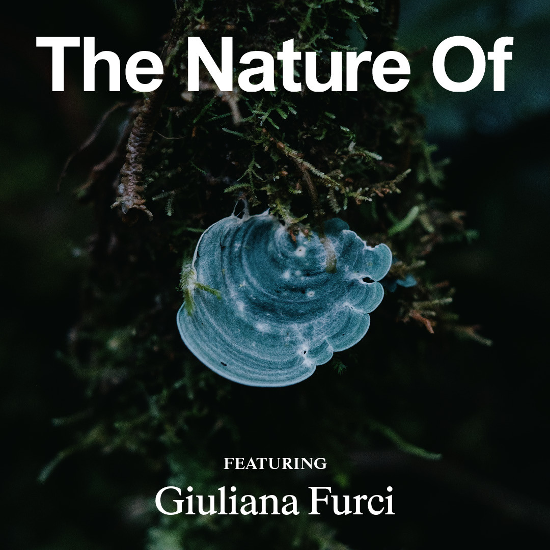 Giuliana Furci Is Your Guide to the Enchanting World of Fungi