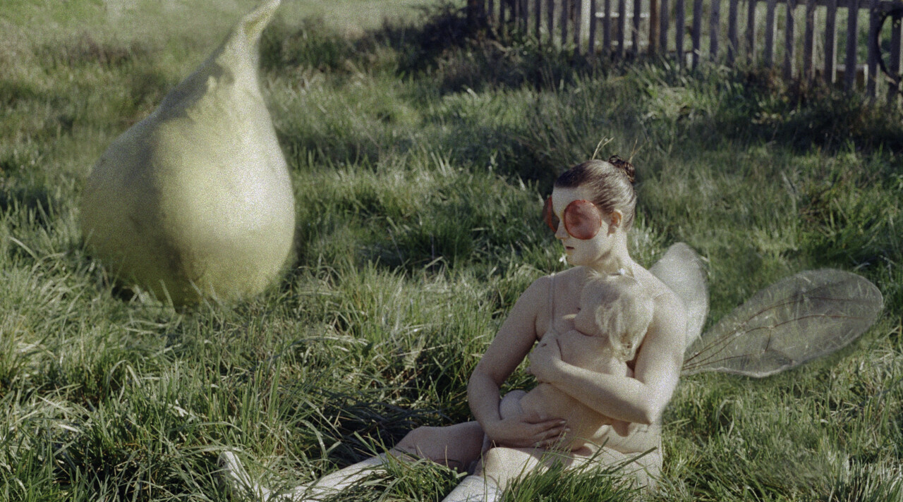 Hoe genderstereotypen in de evolutie werden opgenomen