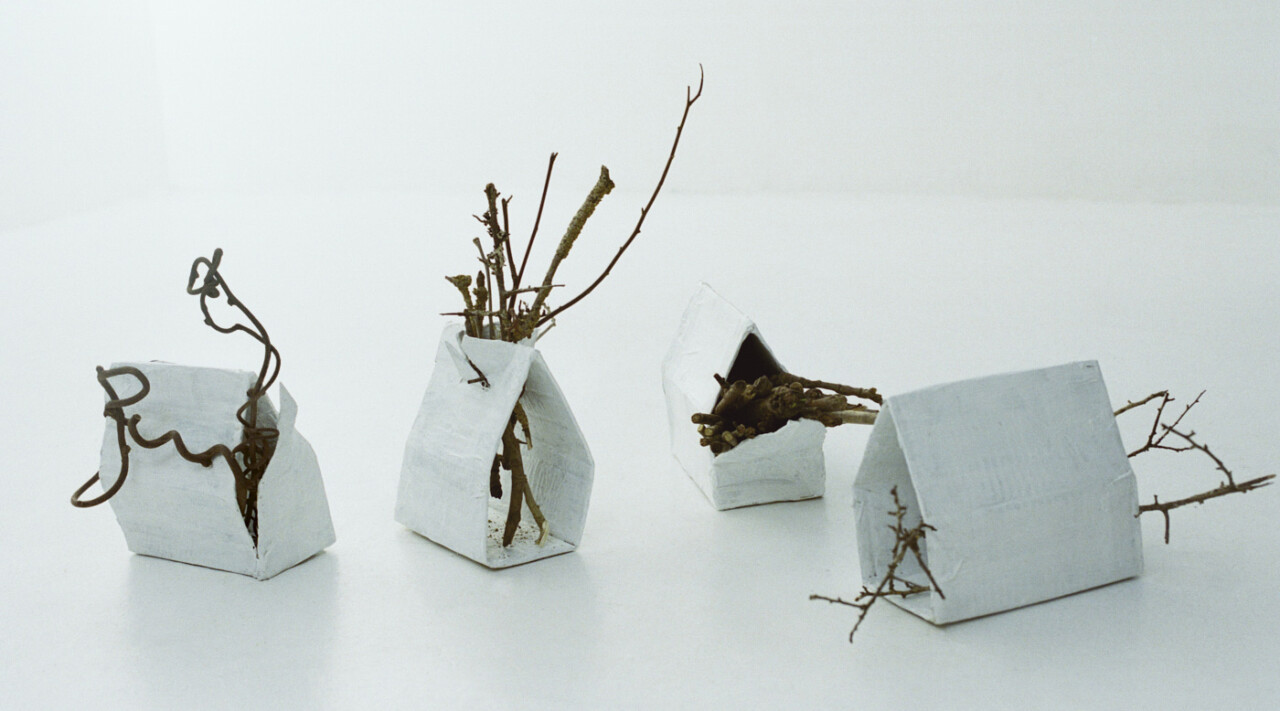 Cómo construir una ciudad a partir de plantas y tierra.