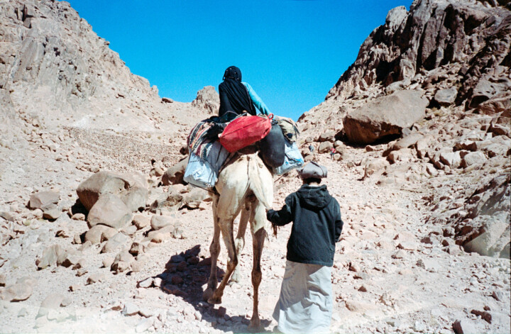 hero gallery image 3