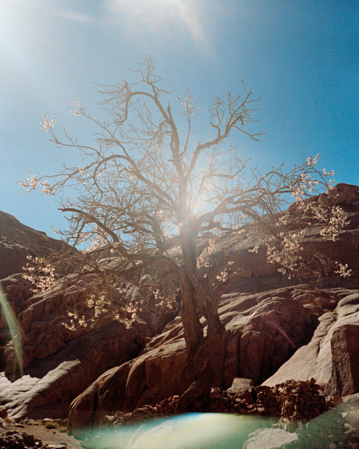 In Egypt’s Sinai Peninsula, Bedouin Life Is Guided by Generations of Mountain Knowledge