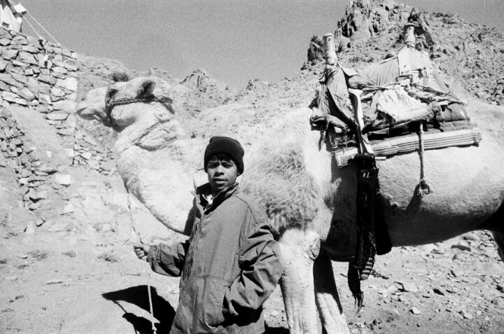 hero gallery image 5