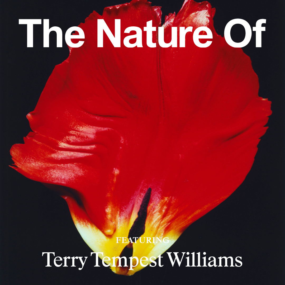 Uncovering the Holy Ordinary with Terry Tempest Williams