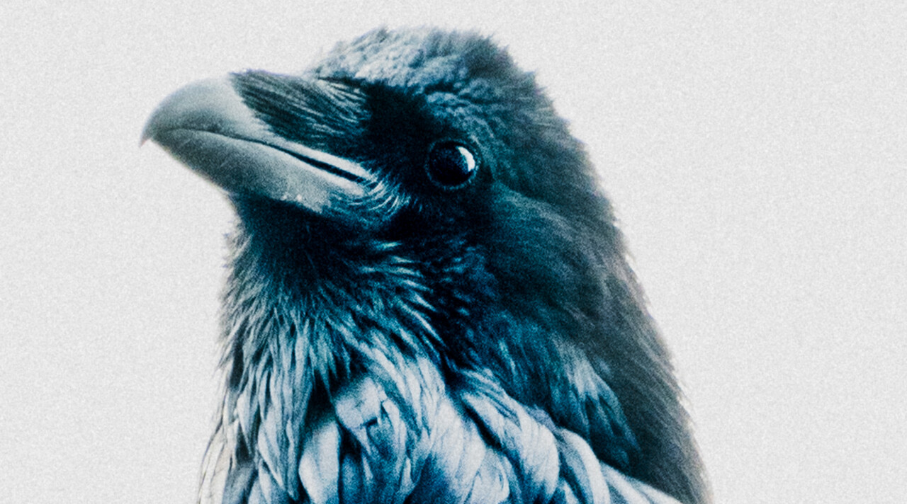 Zoals de kraai vliegt