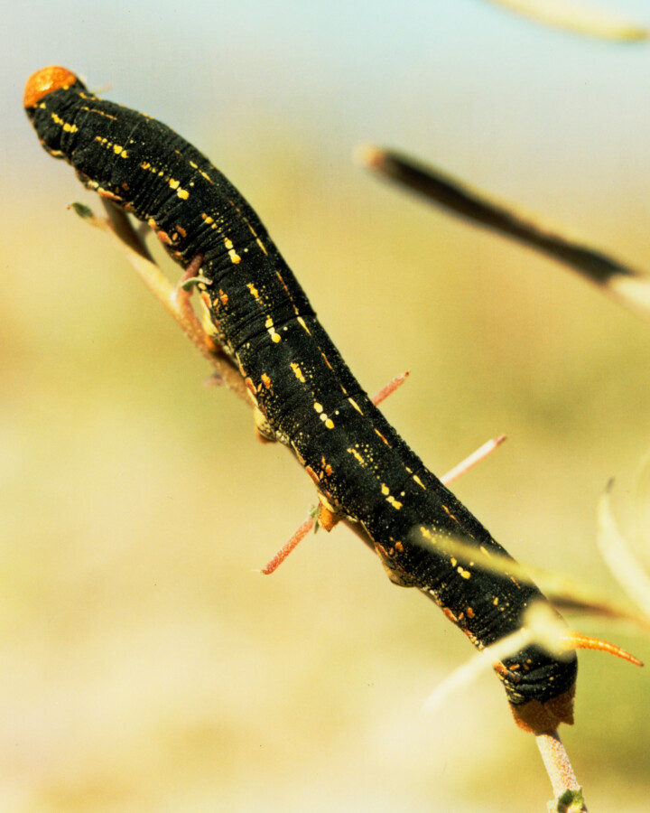 hero gallery image 5