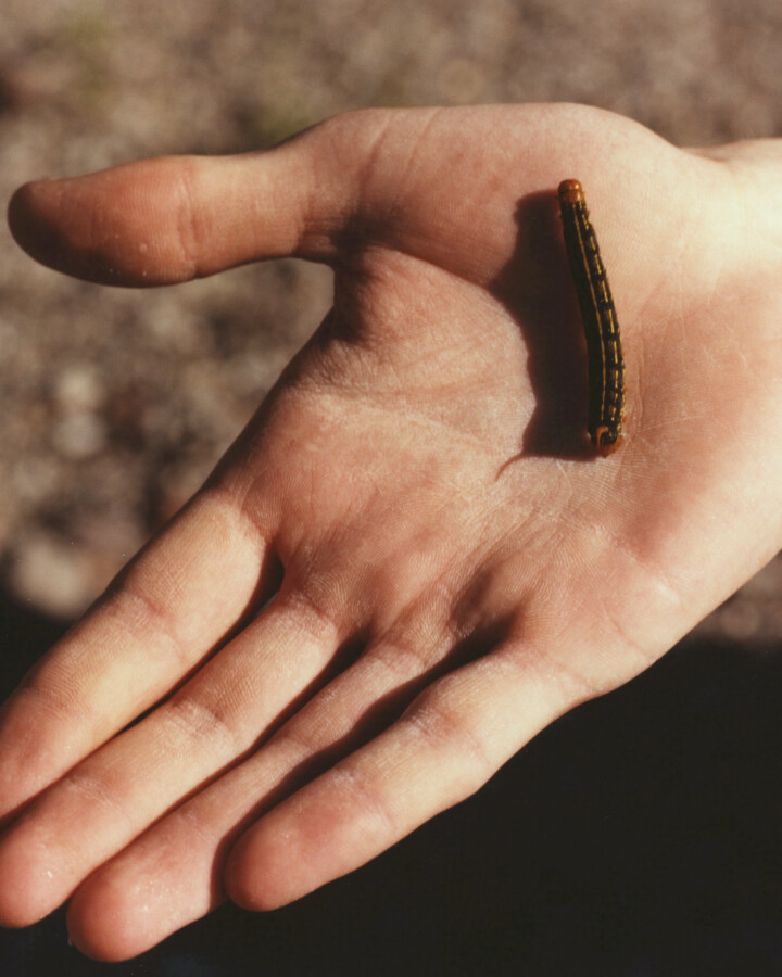 hero gallery image 7