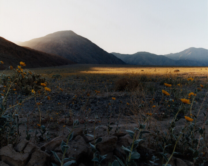 hero gallery image 9