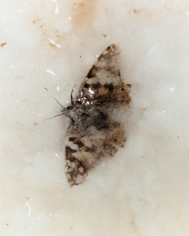 hero gallery image 10