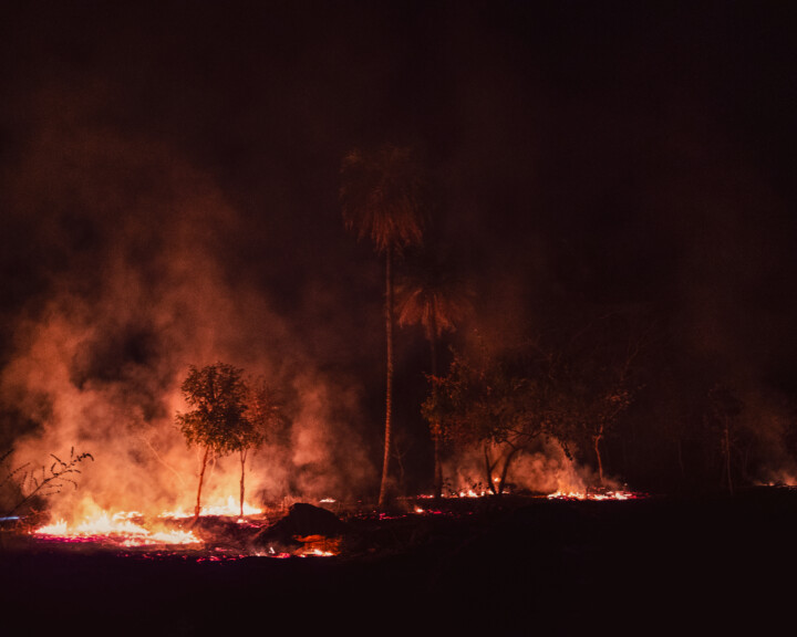 hero gallery image 8