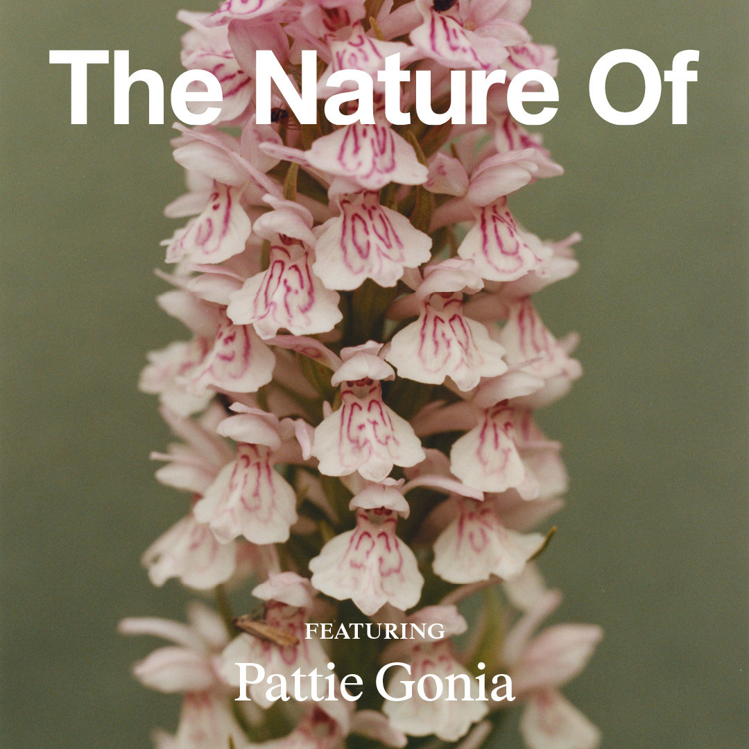 Drag Queen Pattie Gonia: Nature Isn’t Binary, and Neither Are We
