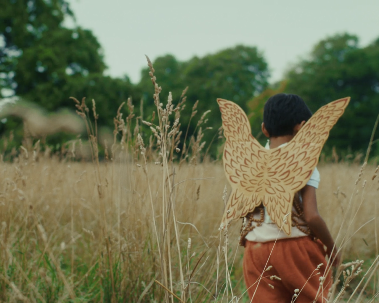 A Green Manifesto For Future Generations