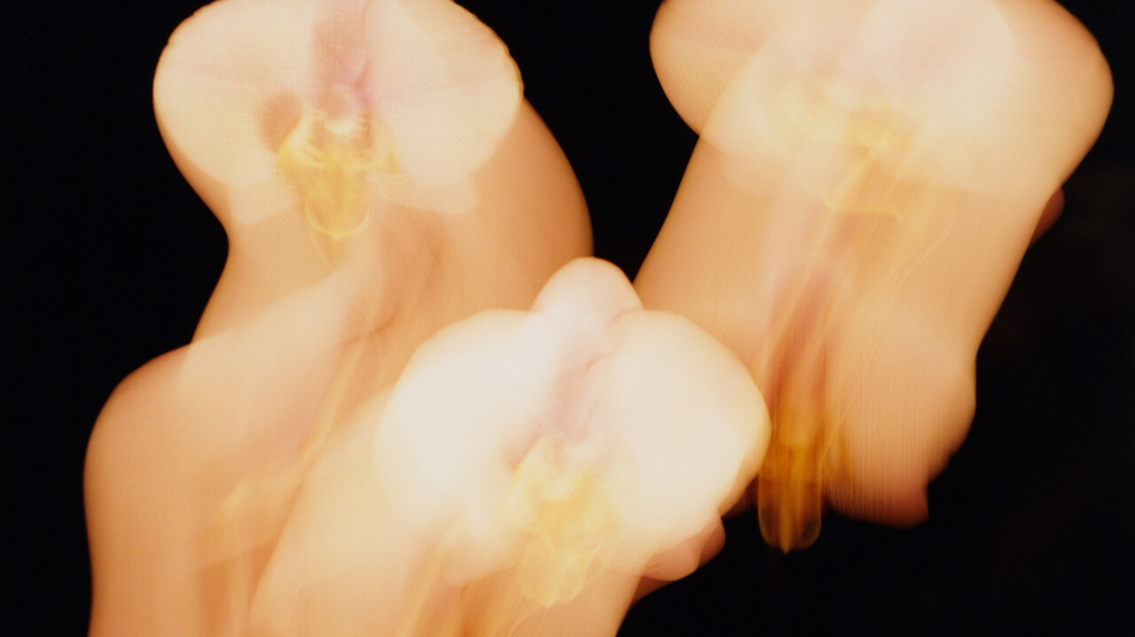 In zijn nieuwste boek laat David George Haskell zien hoe bloemen onze wereld hebben geschapen