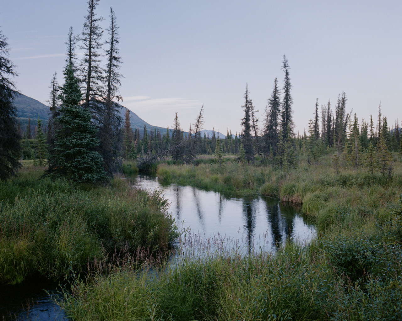 How ‘National Security’ Became the New Justification for Drilling