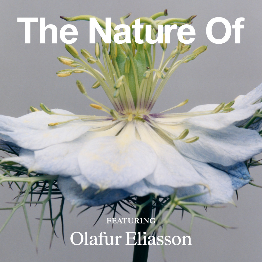 Artist Olafur Eliasson on Seeing What We’ve Been Blind To