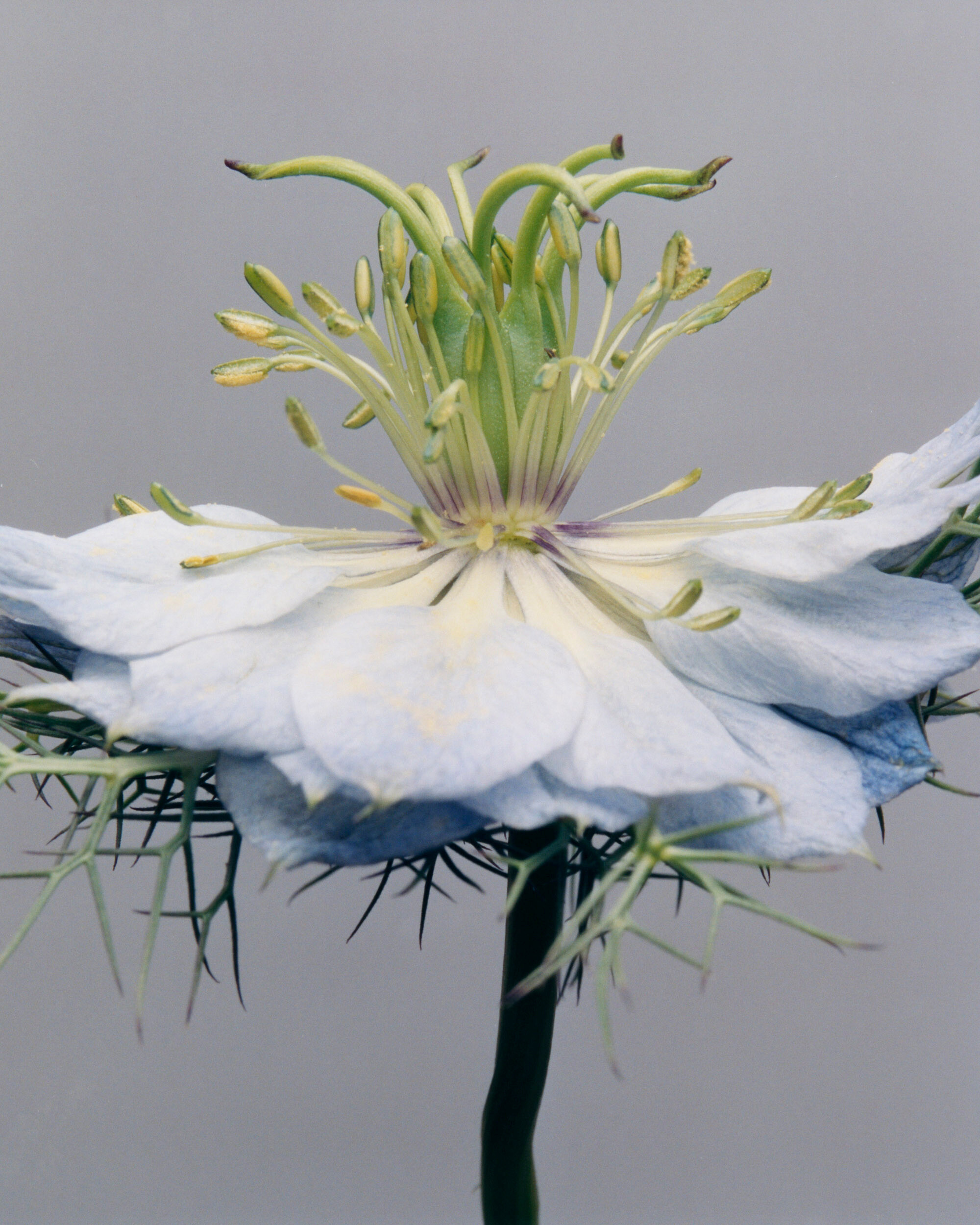 Artist Olafur Eliasson on Seeing What We’ve Been Blind To