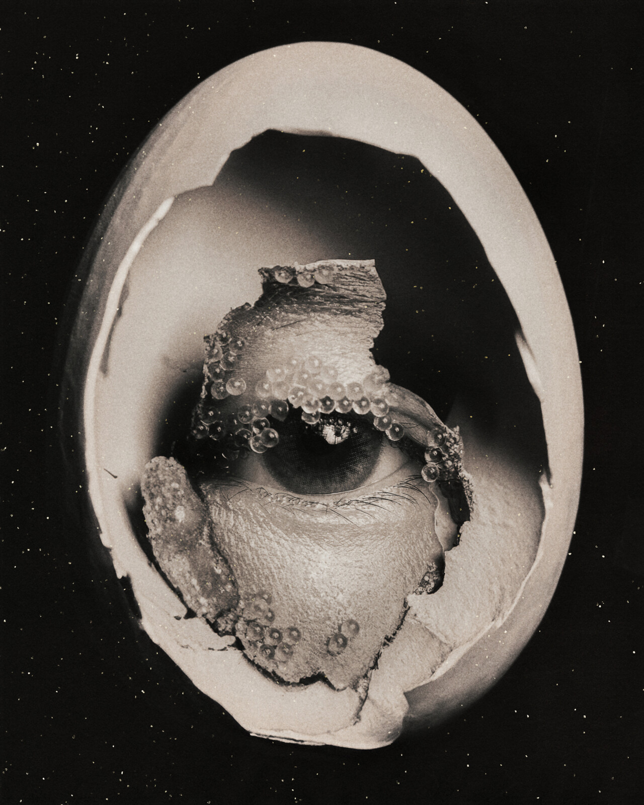 An image of an eye inside of a hollow egg shell.