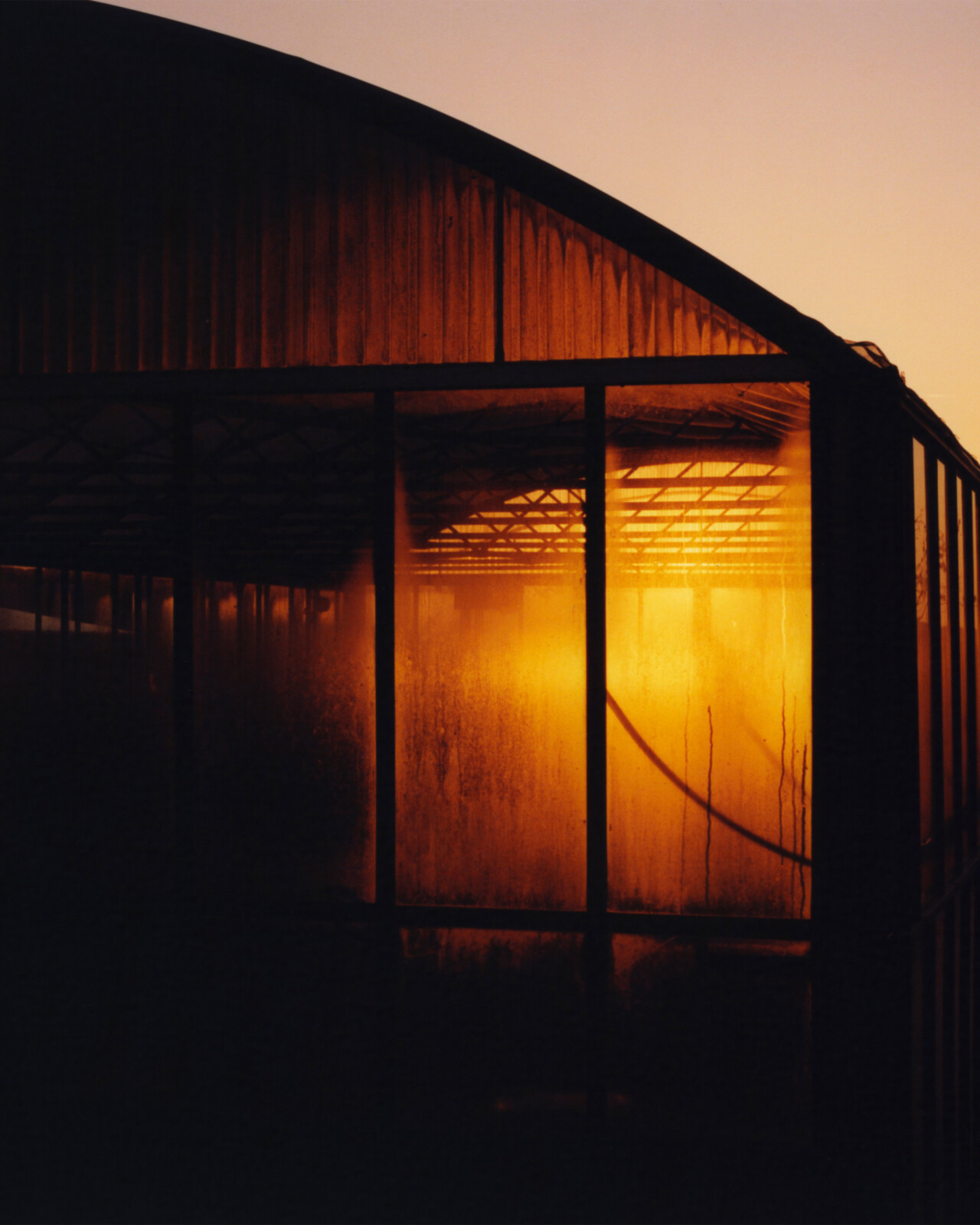 For More Successful Farming, Follow The Forest