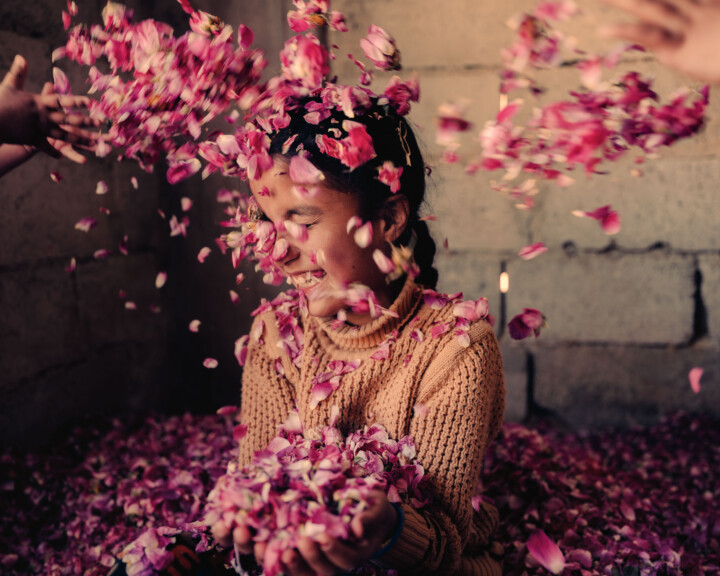 The Ancient Flower That Survived Syria’s Wars Faces A New Threat