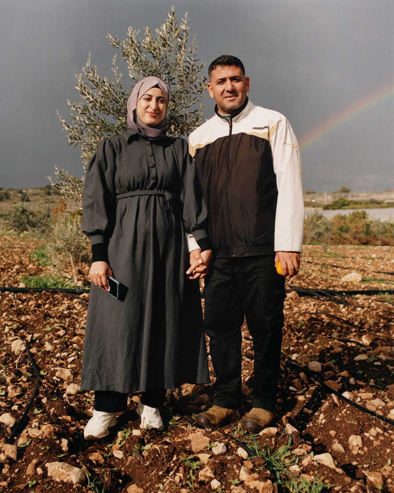 Farming Under Occupation in the West Bank