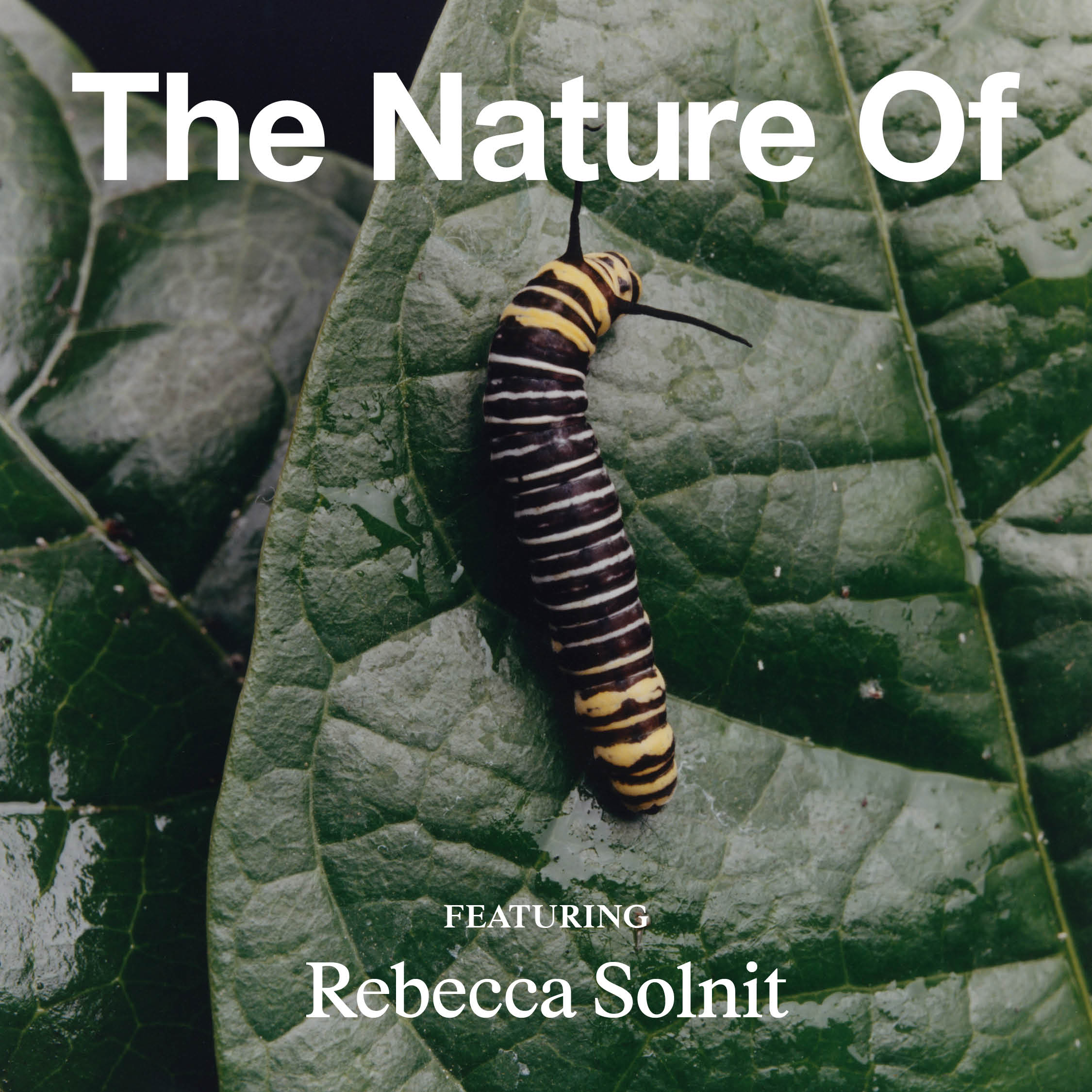Rebecca Solnit: Why Cynicism Feels Smart—and Isn’t