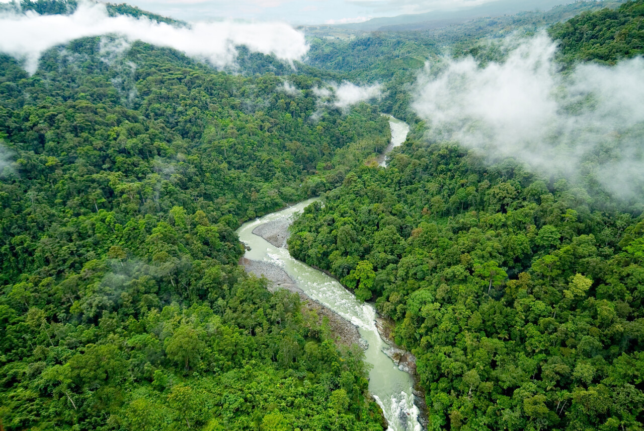 Aerial view of a river surrounded by lush forest.