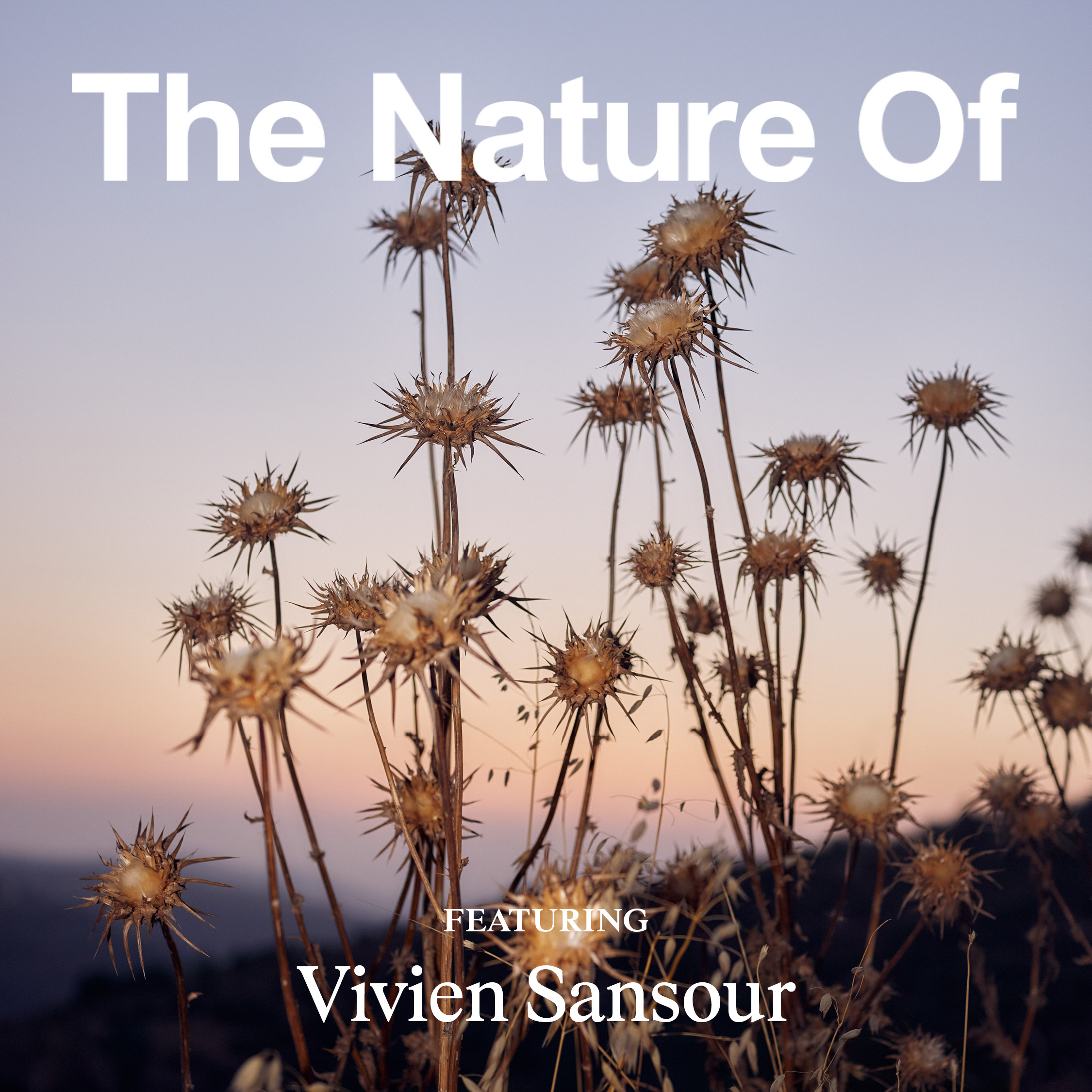 The Wisdom of Seeds With Vivien Sansour