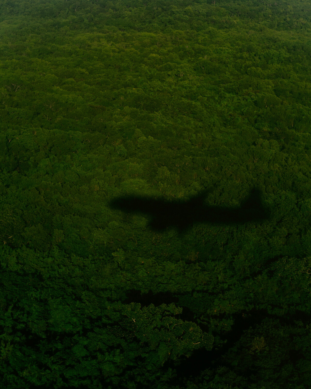 Can Flying Ever Really Be Sustainable?
