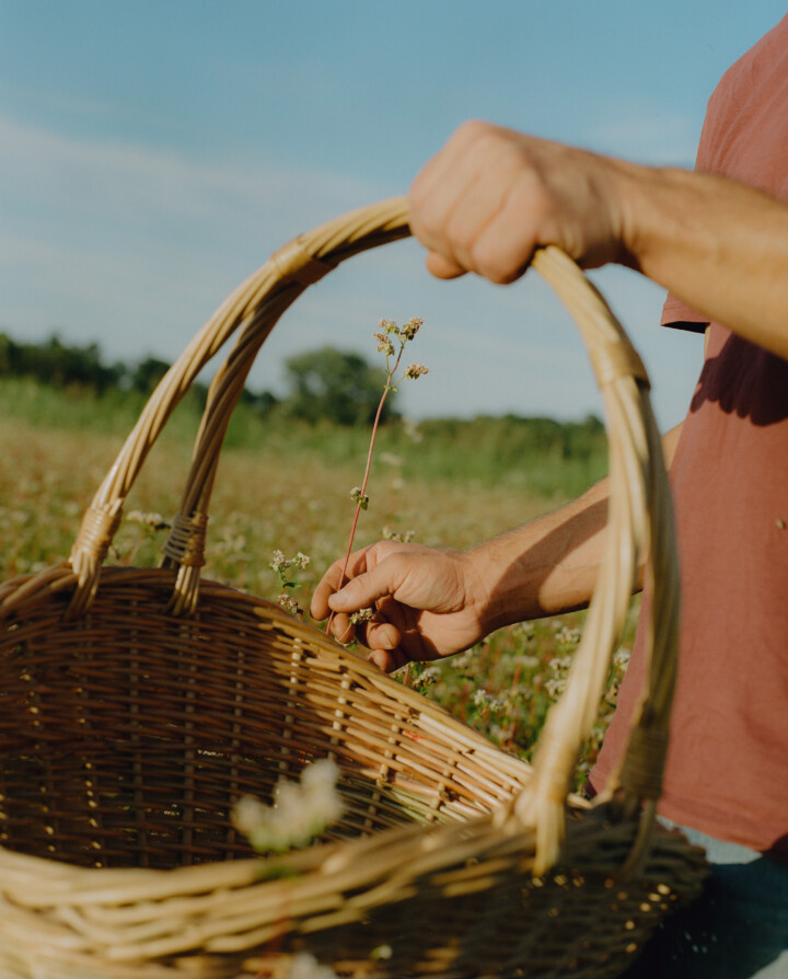 What Regenerative Organic Farms Can Teach the Beauty Industry