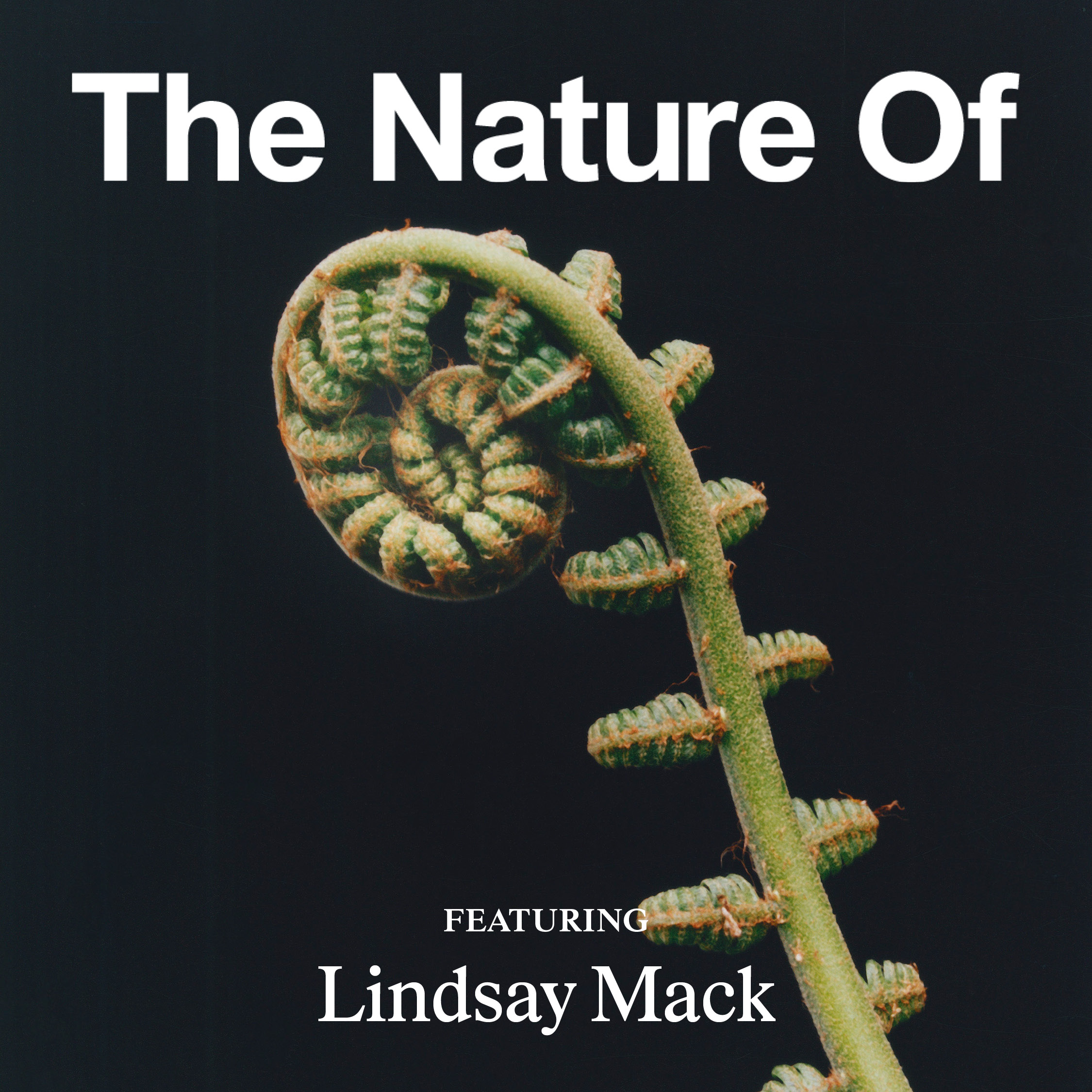 Lindsay Mack: Growth Is a Spiral, Not a Line
