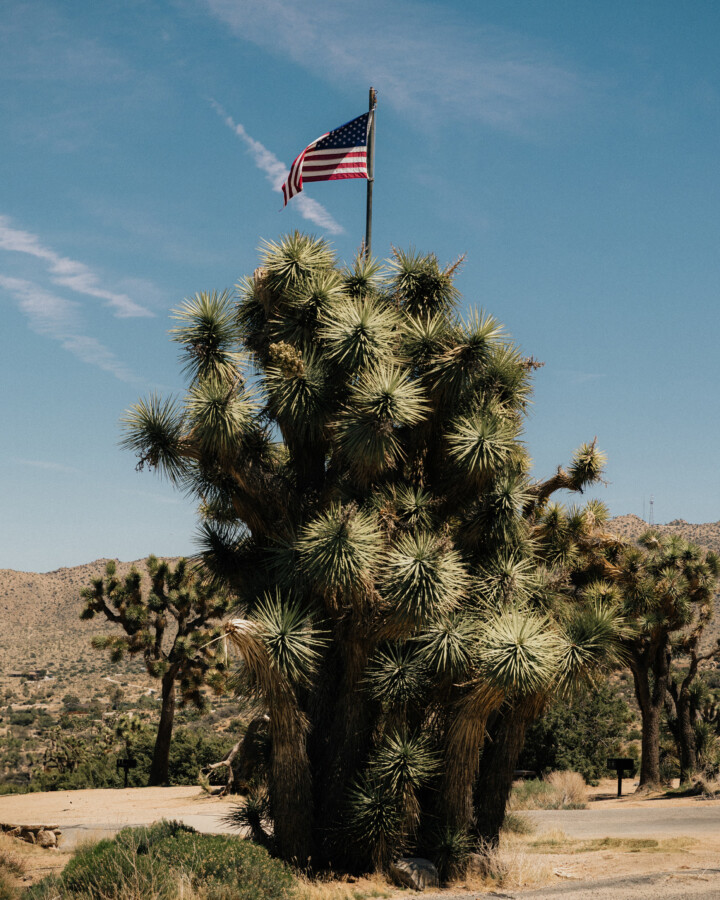 As The US Turns 250, ‘Resistance Rangers’ Fight for Our History and Wild Places