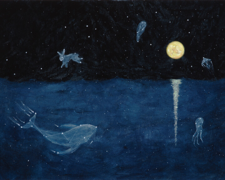 Ocean of Stars: A Cosmic Origin Story for Young Readers