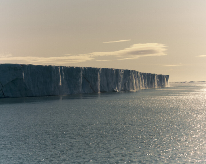 Song of the Arctic
